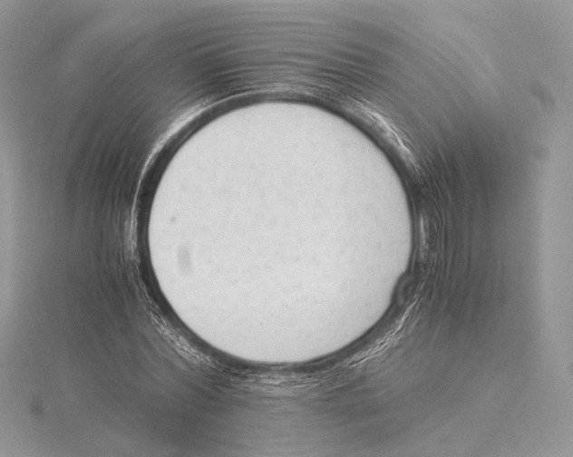 X0000115540780200912041010