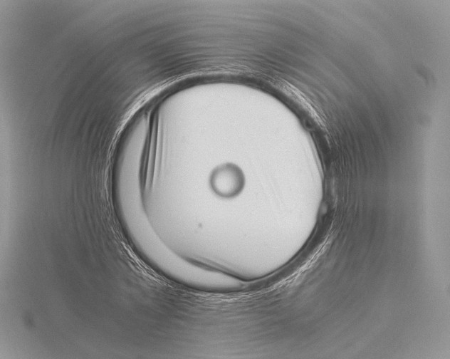 X0000115540781200912041010