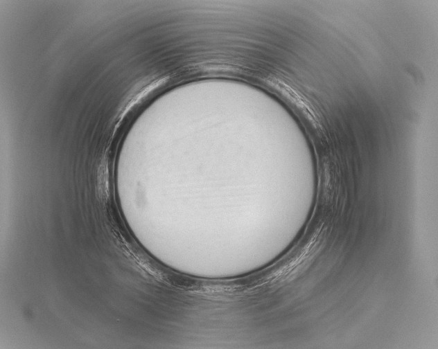 X0000115540782200912041010