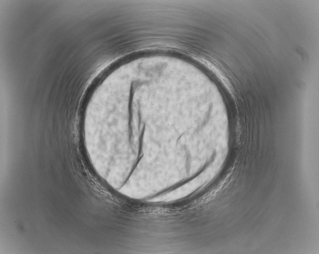 X0000115540783200912041010