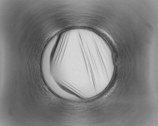 X0000115540785200912041010