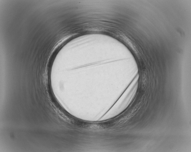 X0000115540787200912041010