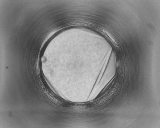 X0000115540788200912041010