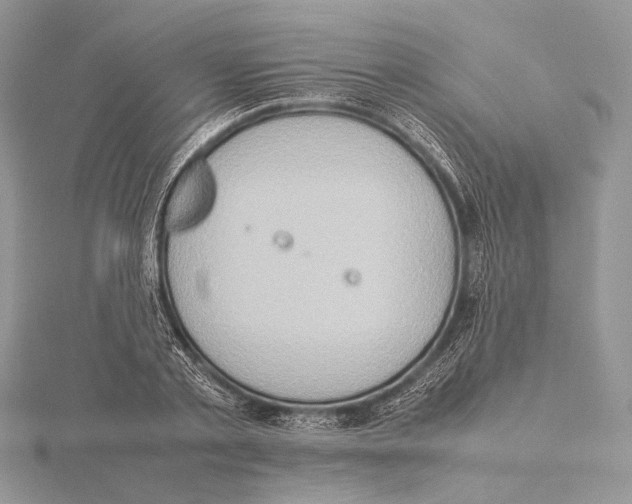 X0000115540789200912041010