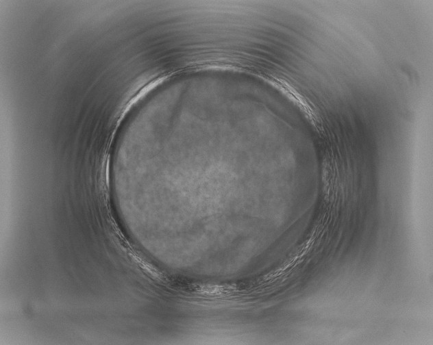 X0000115540790200912041010