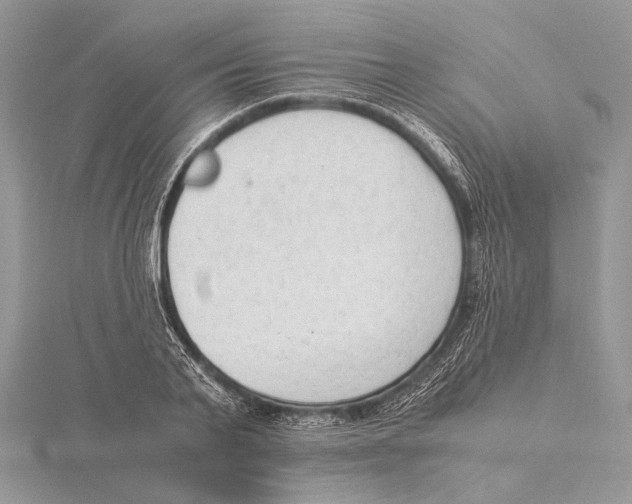 X0000115540791200912041010