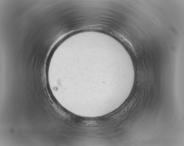 X0000115540792200912041010