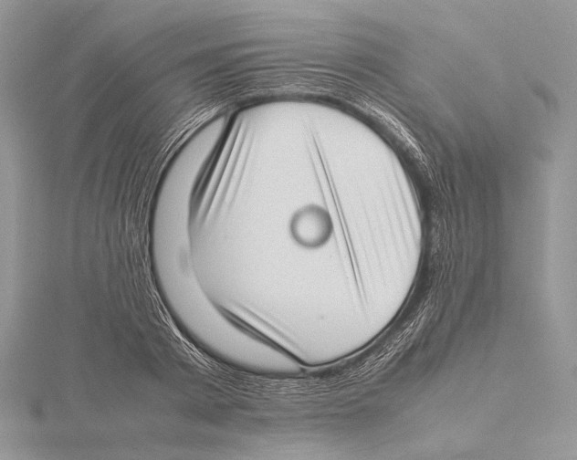 X0000115540793200912041010