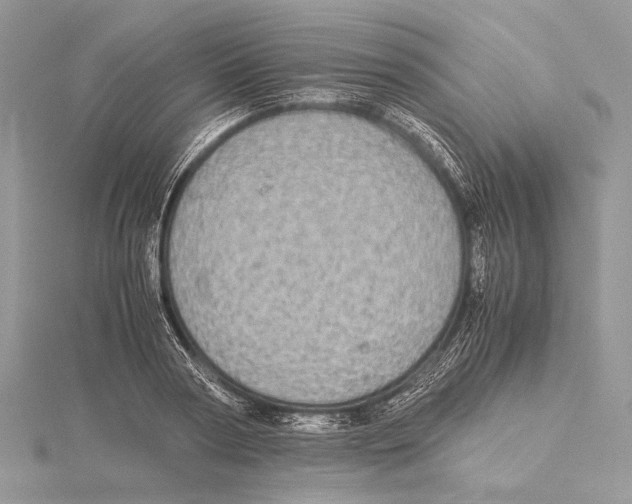 X0000115540794200912041009