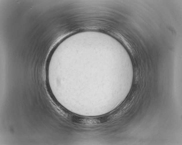 X0000115540795200912041009