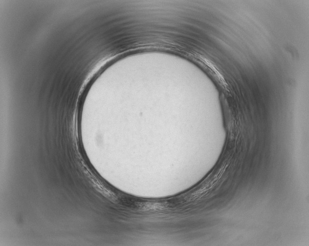 X0000115540796200912041009