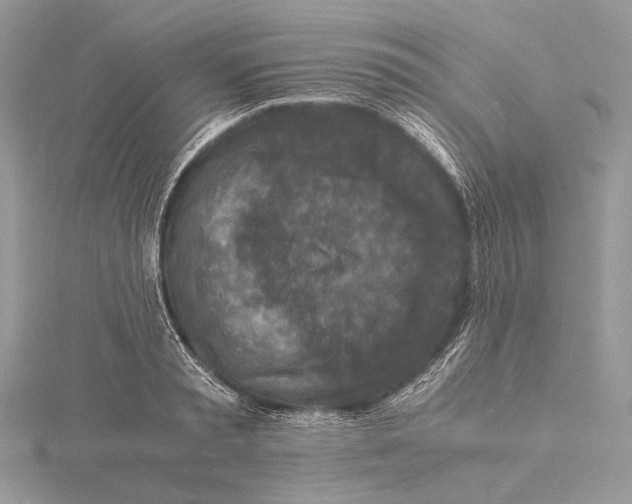 X0000115540797200912041009