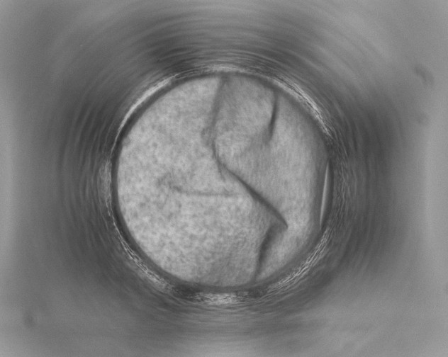 X0000115540798200912041009