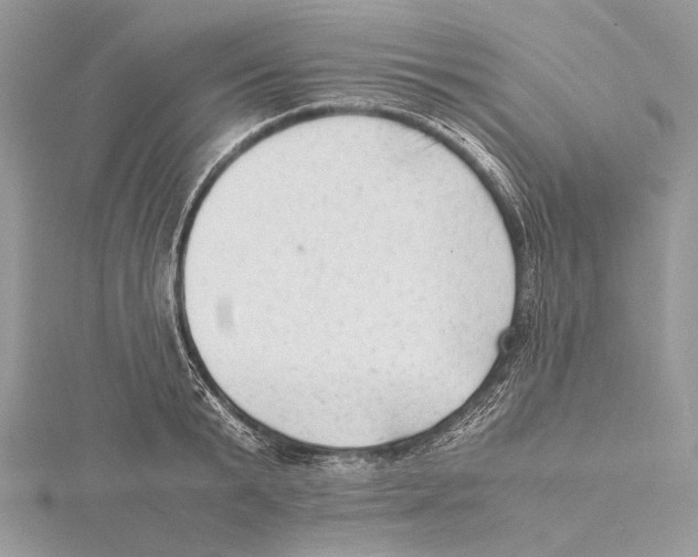 X0000115540799200912041009