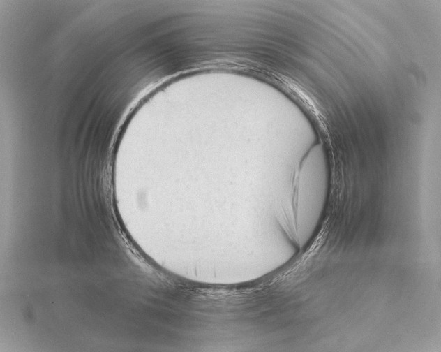 X0000115540800200912041009