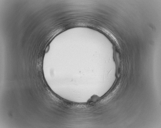 X0000115540801200912041009