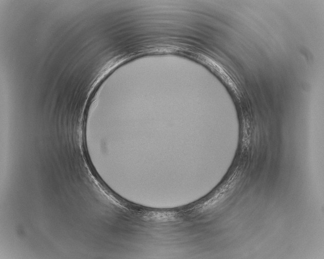 X0000115540802200912041009