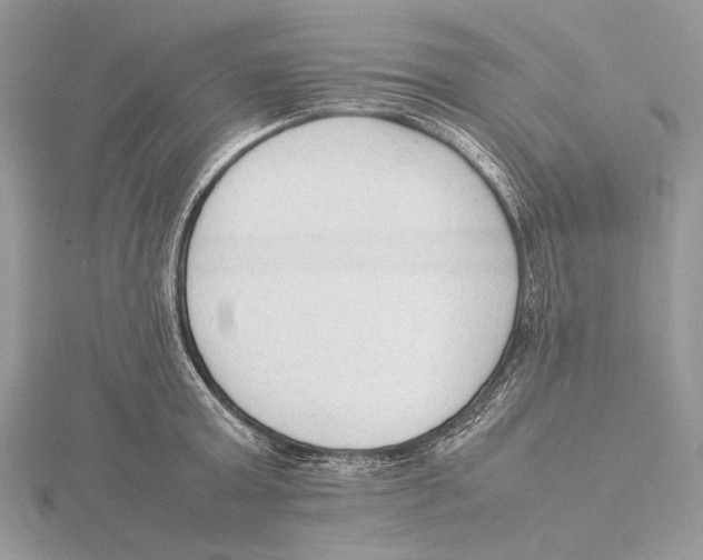 X0000115540803200912041009