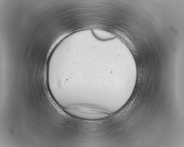 X0000115540804200912041009