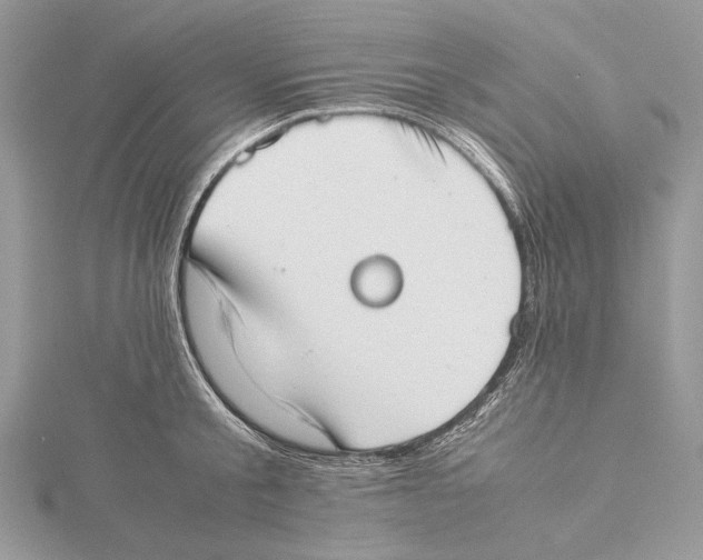 X0000115540805200912041009