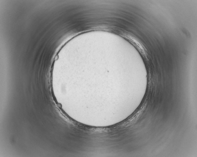 X0000115540808200912041009