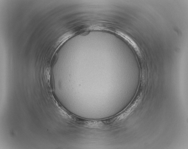 X0000115540809200912041009