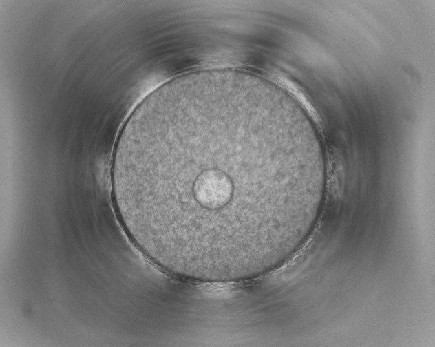 X0000115540810200912041009