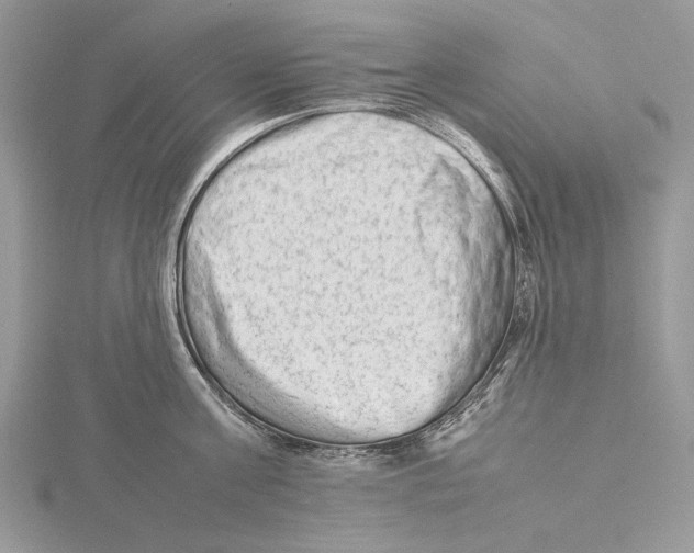 X0000115540811200912041009