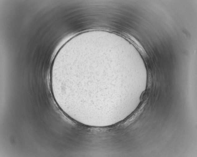 X0000115540812200912041009