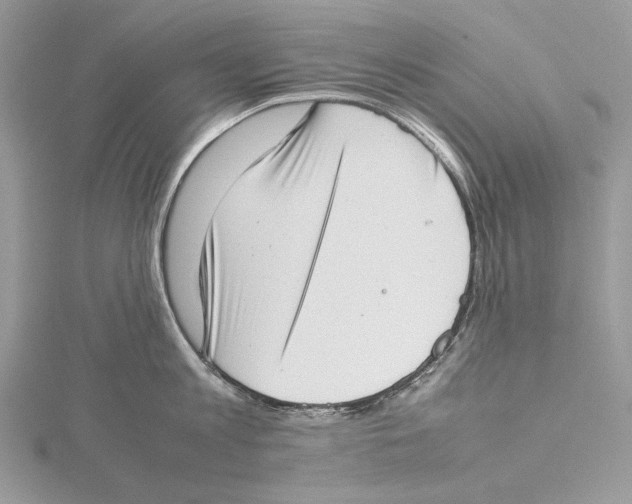 X0000115540813200912041009