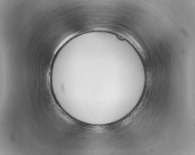 X0000115540814200912041009