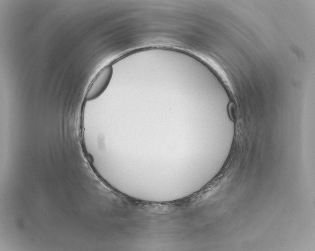 X0000115540815200912041009