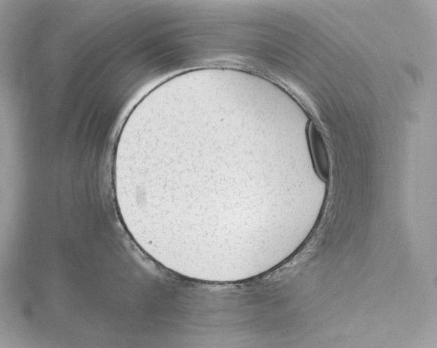 X0000115540816200912041009