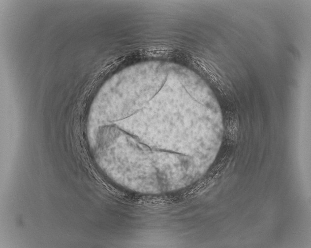 X0000115540817200912041009