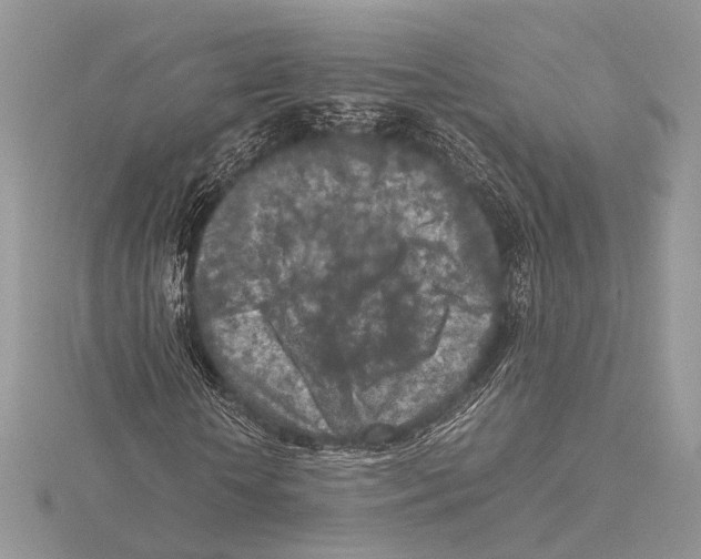 X0000115540818200912041009