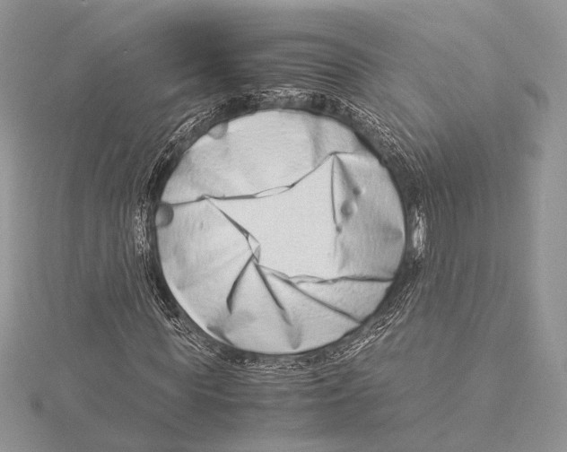 X0000115540819200912041009