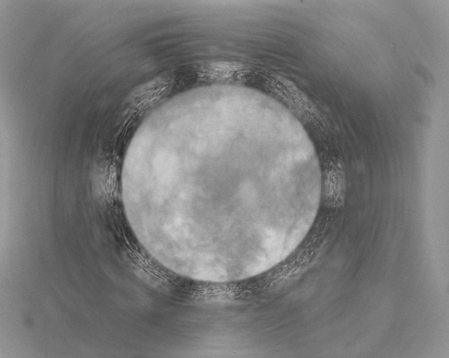 X0000115540820200912041009