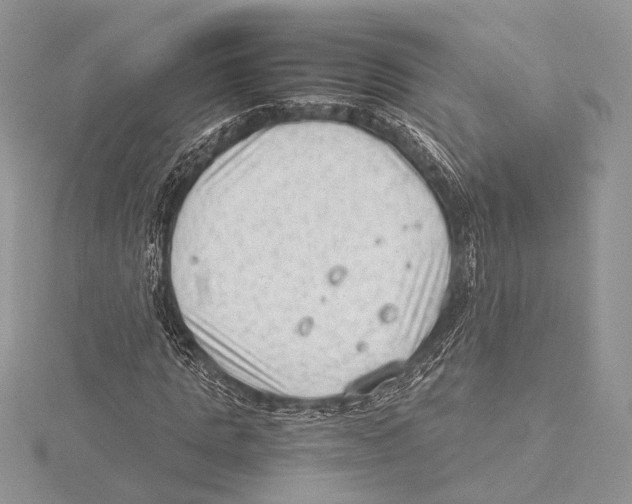 X0000115540821200912041009