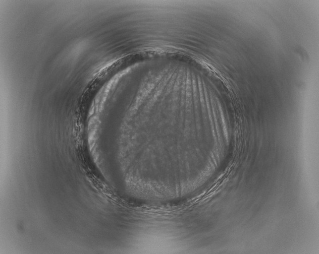 X0000115540822200912041009