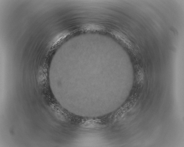 X0000115540824200912041009