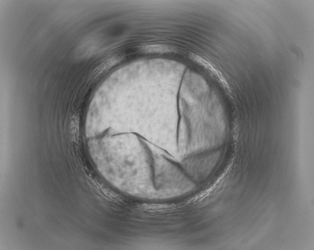 X0000115540825200912041009