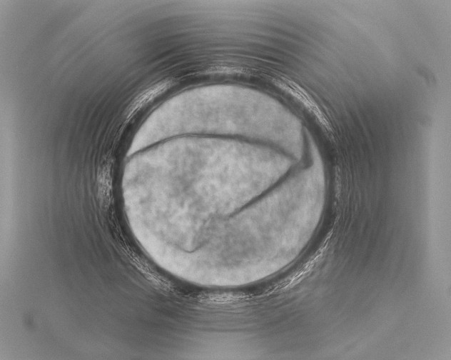 X0000115540826200912041009