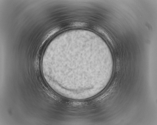 X0000115540827200912041009