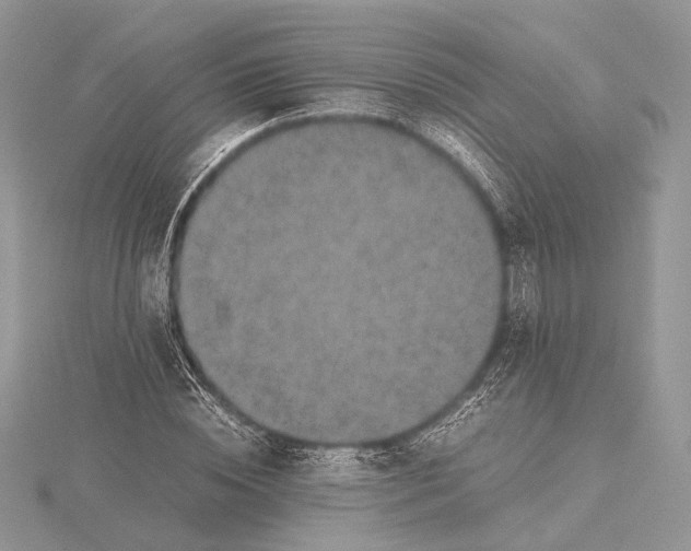 X0000115540828200912041009