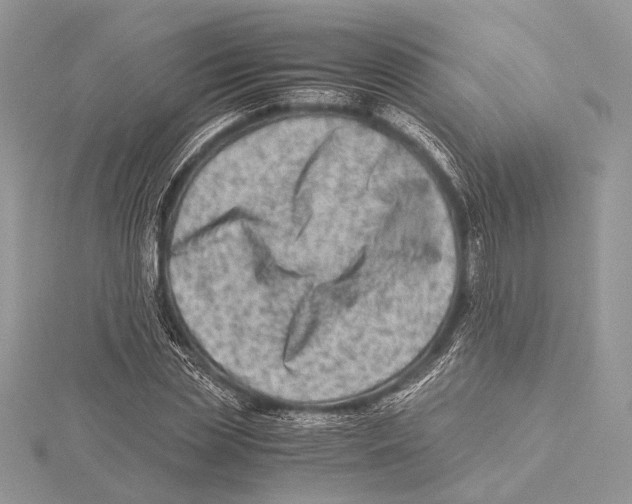 X0000115540829200912041009