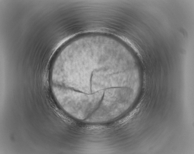 X0000115540830200912041009