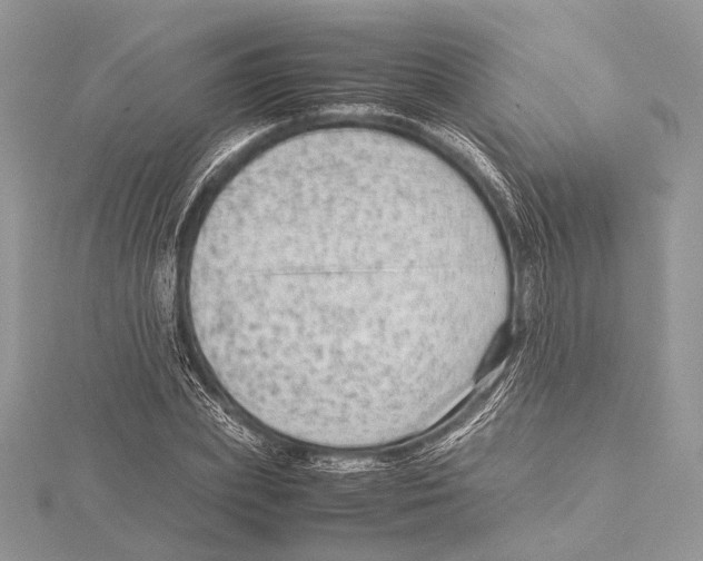 X0000115540831200912041009