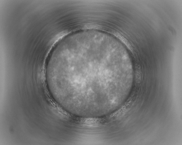 X0000115540832200912041009