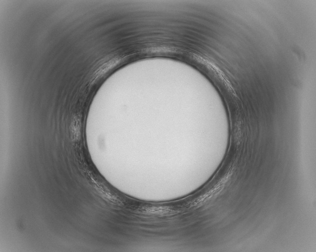 X0000115540833200912041009