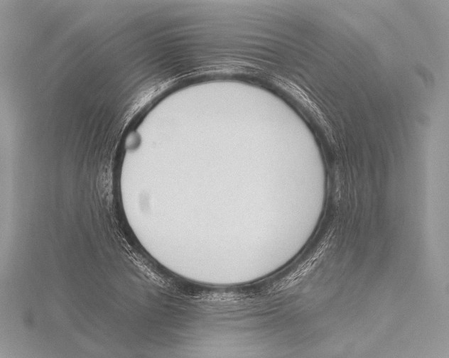 X0000115540834200912041009